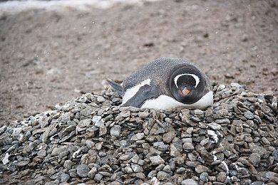 《忍者神龟：破碎命运》公布DLC 凯西·琼斯加入战局