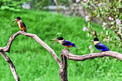 科乐美回应《寂静岭2》和《合金装备3》今年发售：等待后续公告